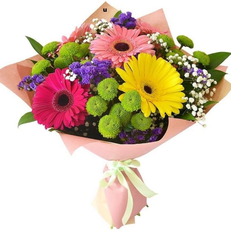 Радуга от 4 410 руб.